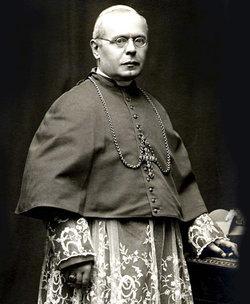 Cardinal Antonio Vico 
