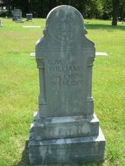 George M Williams 