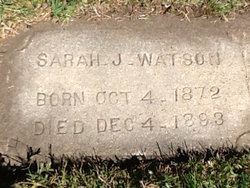 Sarah Jane Watson 