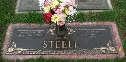 Charles W Steele Jr.