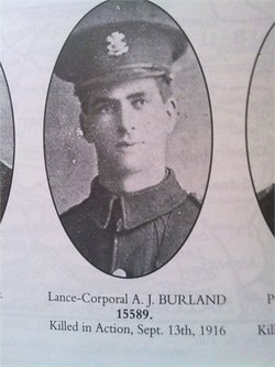 L-Corp Alfred John Burland 