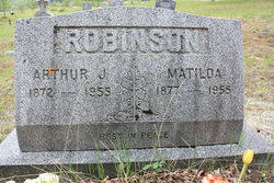 Arthur J Robinson 