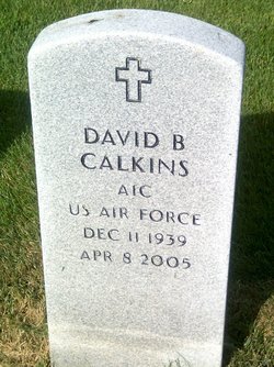 David B Calkins 