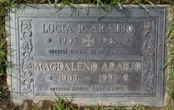 Manuel Magdaleno Araujo 