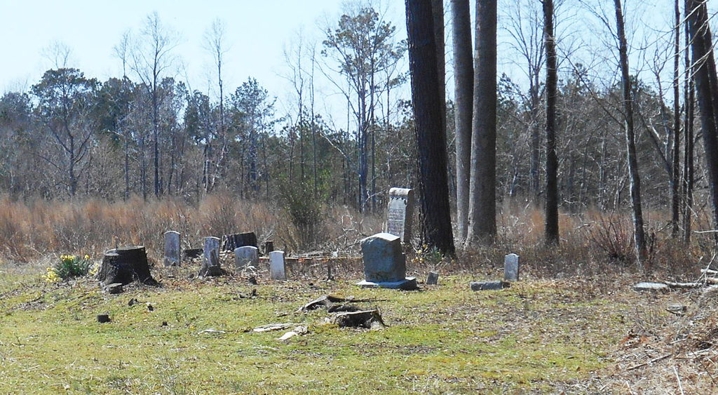 Major W. Gaskins Cemetery