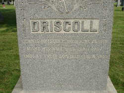 Dennis Driscoll 