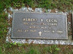 Albert B Cecil 