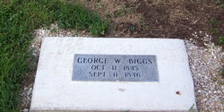 George W Biggs 