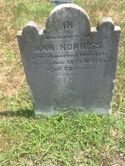 Ann Norriss 