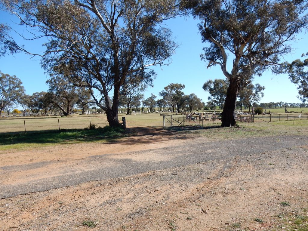 Old Junee Cemetery