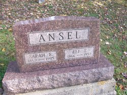 Eli T Ansel 