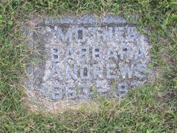 Barbara Andrews 