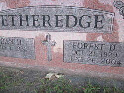 Forest D. Etheredge 