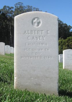 Albert E Casey 