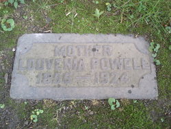 Louvenia <I>Breedlove</I> Powell 