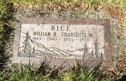 William Herman Rice 