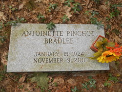 Antoinette Eno <I>Pinchot</I> Bradlee 