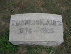 Thaddeus Edward Ames 