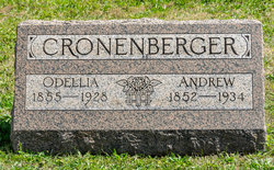 Odellia <I>Lederer</I> Cronenberger 