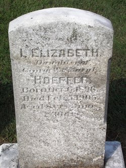L Elizabeth Hoeffer 