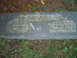 Daniel A Driscoll 