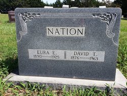 David Thaddeus Nation 