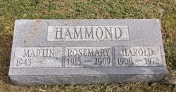 Rosemary <I>Bever</I> Hammond 