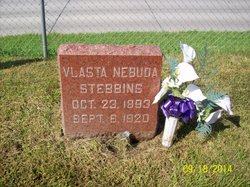 Vlasta <I>Nebuda</I> Stebbins 