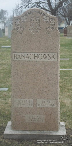 Rose <I>Blochowski</I> Banachowski 