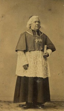 Cardinal François Auguste Ferdinand Donnet 