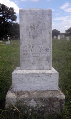 David D. Palmer 