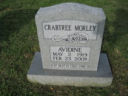 Avidine <I>Crabtree</I> Morley 