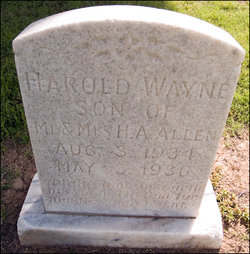 Harold Wayne Allen 