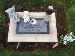 Angel Ignacio Perez 