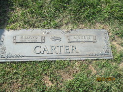 Annie M. Carter 