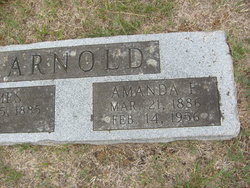 Amanda Arnold 