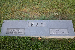 Sally Taylor <I>Vineyard</I> Ray 