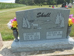 David J Shull 
