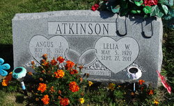 Angus J Atkinson 