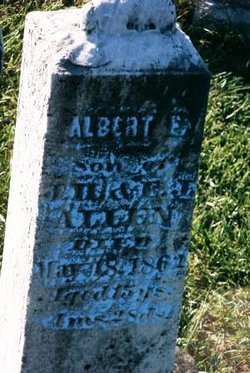 Albert E Allen 
