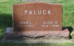 Alice M Paluck 