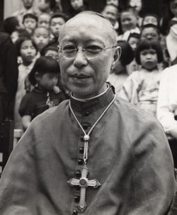 Cardinal Peter Tatsuo Doi 