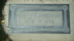 Harvey K Ammerman Jr.