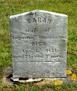 Sarah Shearman 