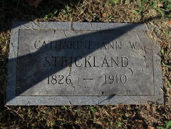 Catharine Ann Strickland 