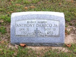 Anthony Damico Jr.
