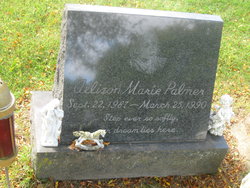 Allison Marie Palmer 