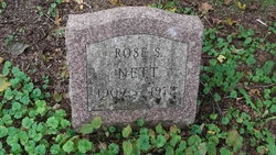 Rose <I>Sagehorn</I> Nett 