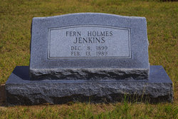 Fern <I>Holmes</I> Jenkins 