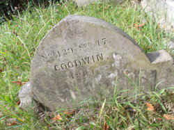 Goodwin 